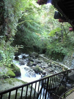 �Ă��Ă��c