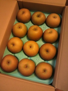 ���͂����I