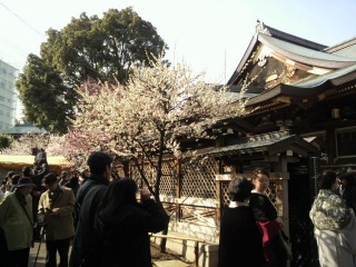 �����V�_