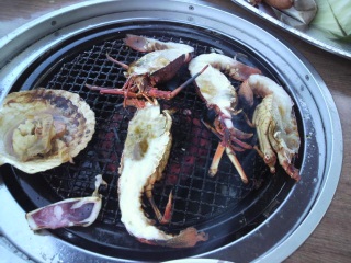 �ɐ��C�V���Ă�����I