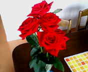 �a�����ɖ�����K�N