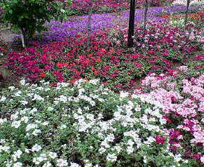 �t�c�ł��ˁ[