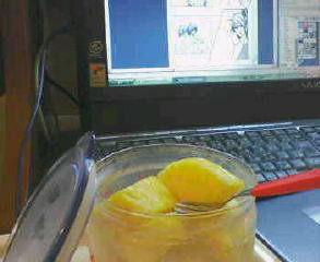 ���ŉ������Ă���鑞���zvv