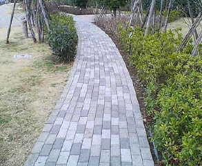 ���̖��邳���ڂɒɂ�